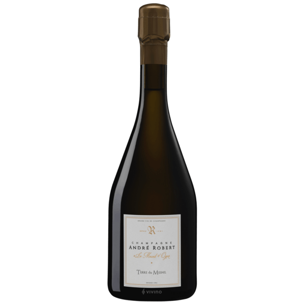 2013 Champagne Andre Robert Brut Terre du Mesnil