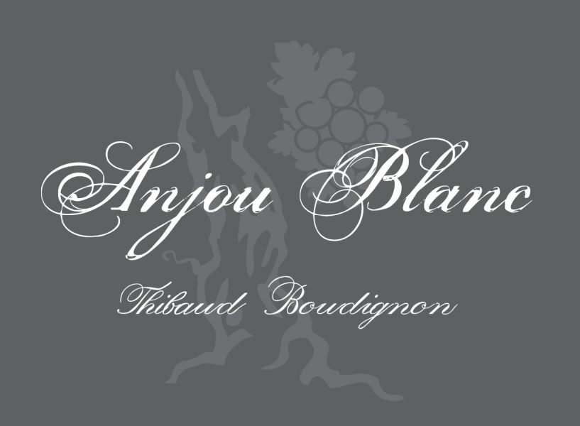 2023 Domaine Thibaud Boudignon Anjou Blanc